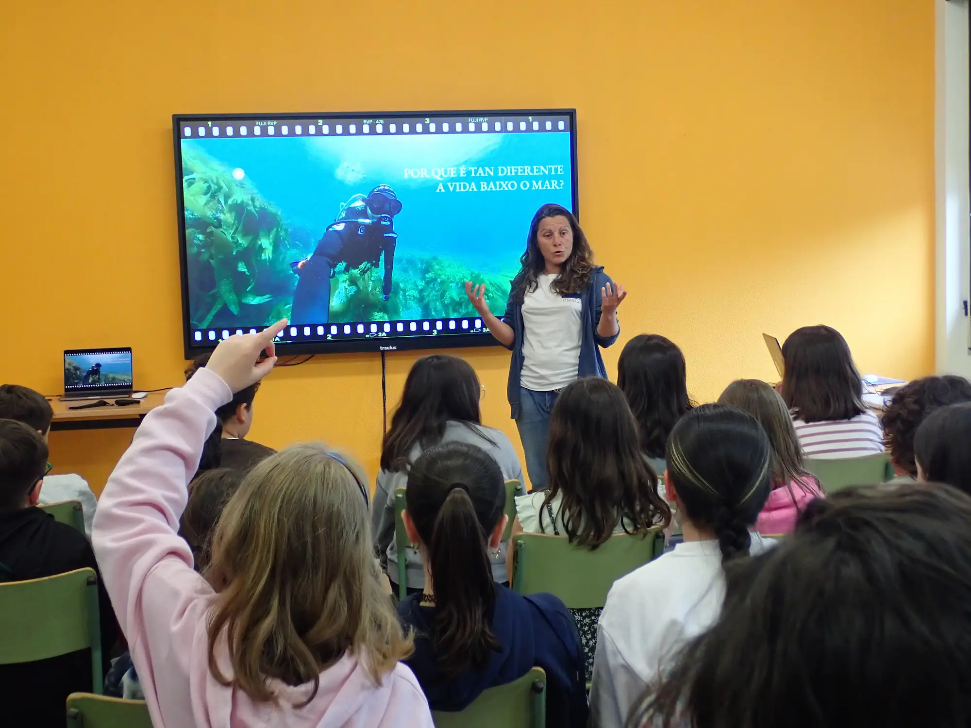 Creaci&oacute;n de recursos divulgativos